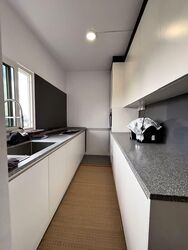Holland Tower (D10), Apartment #536669741